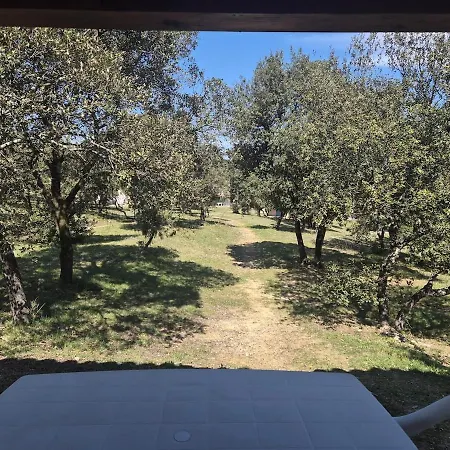 Maison T4 Entier Dans De Loisirs * Sauve